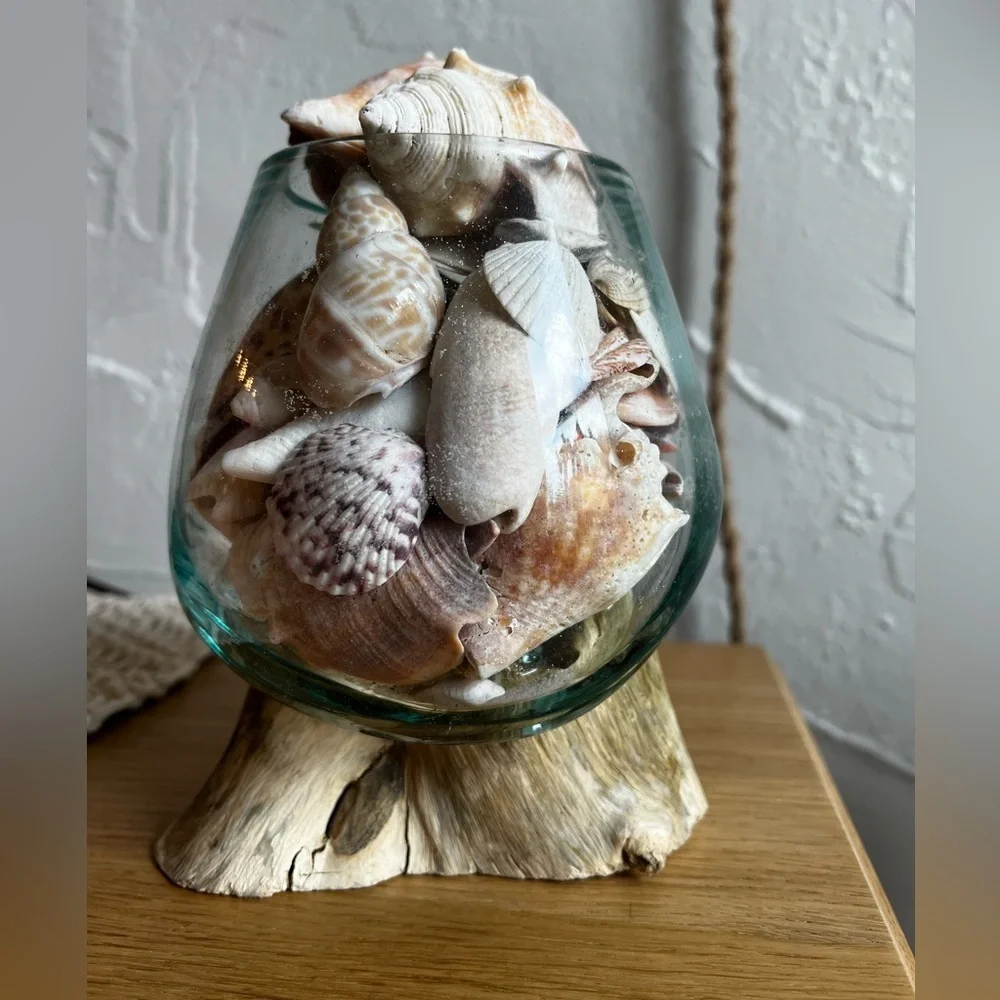 Molten Glass on Driftwood Sculpture – Coastal Vase or Shell Display, Ocean Decor